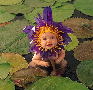 Babies_waterlily.jpg - 27 KB